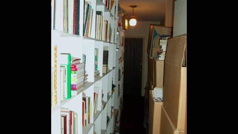 She voraciously read them