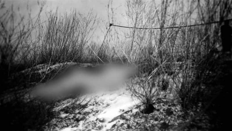 She wasn't shot. She wasn't stabbed... that I could see