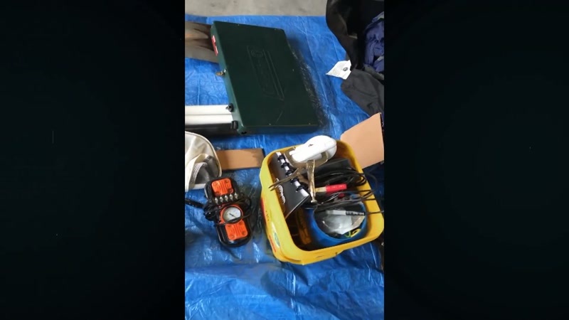 She would use the echo devices in her garage to turn the lights on