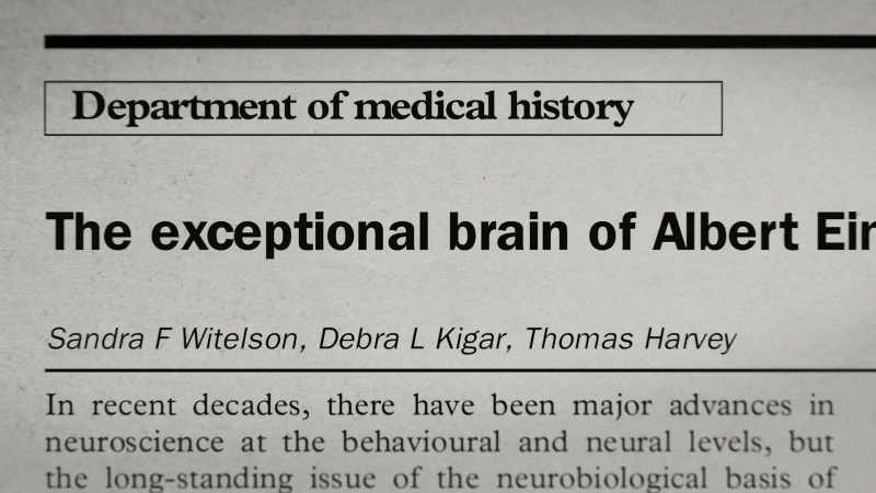 She wrote this paper about the exceptional brain