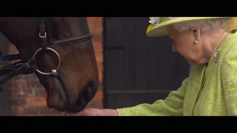 She'd come down for tea and have a wander around the yard and see her horses