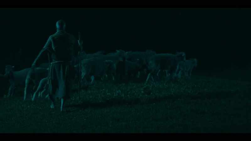 [sheep baaing]