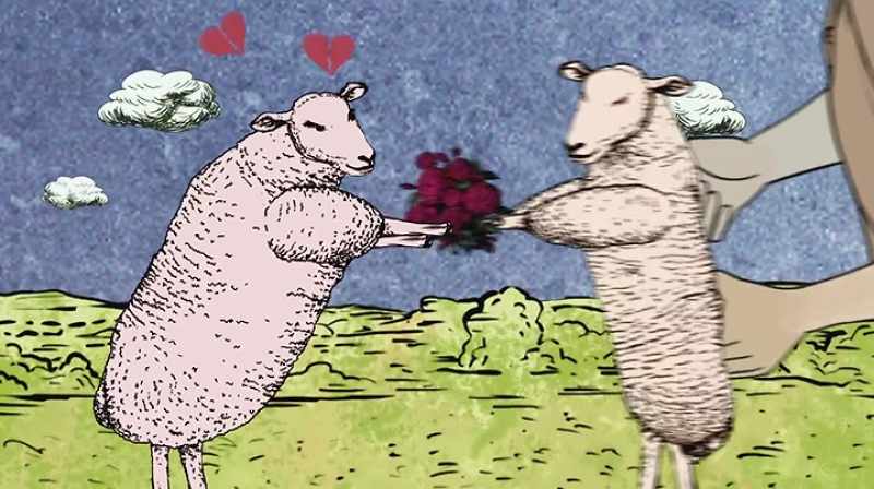 [ sheep bleats ]
