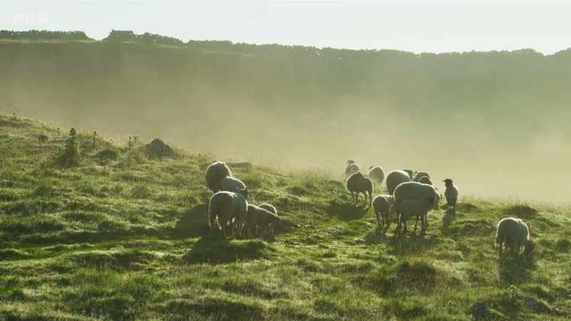 Sheep farming has dominated the Yorkshire Dales for centuries