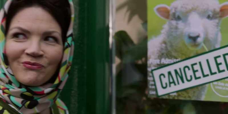 SHEEP SHEARING FESTIVAL