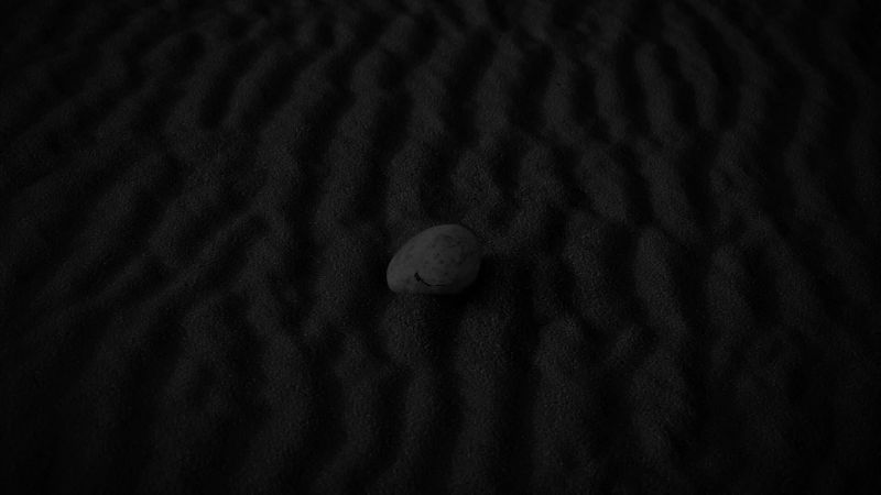 [shell crinkles]