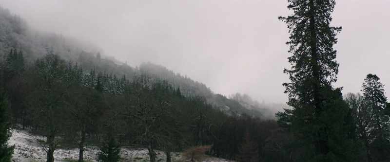 SHELLEY: As mountain springs under the morning sun