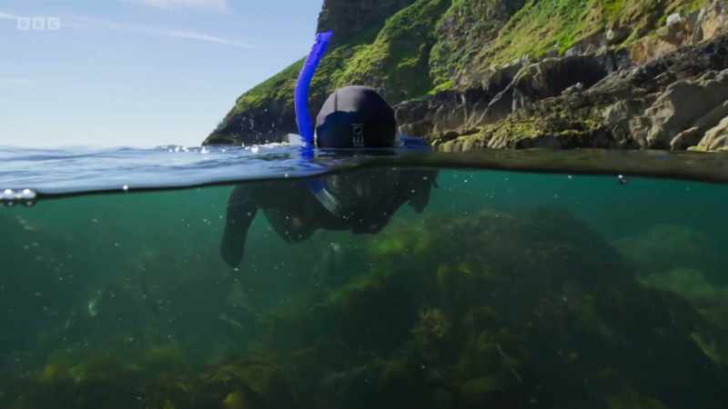 Sheltered reefs, when protected from trawling and fishing