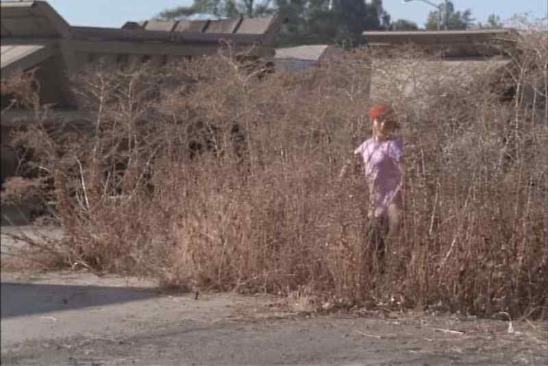 Sheriff! -Not now. I'm busy