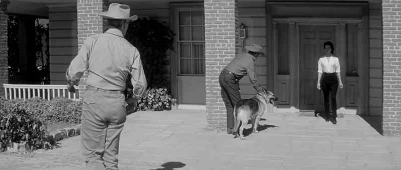 Sheriff?