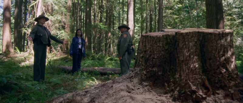 Sheriff, she's just here to help us with our missing tree