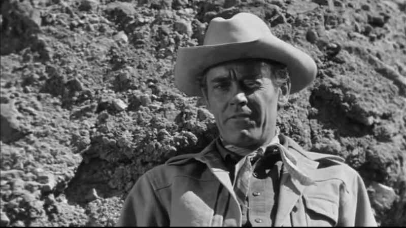 Sheriff! Throw a couple of shots!