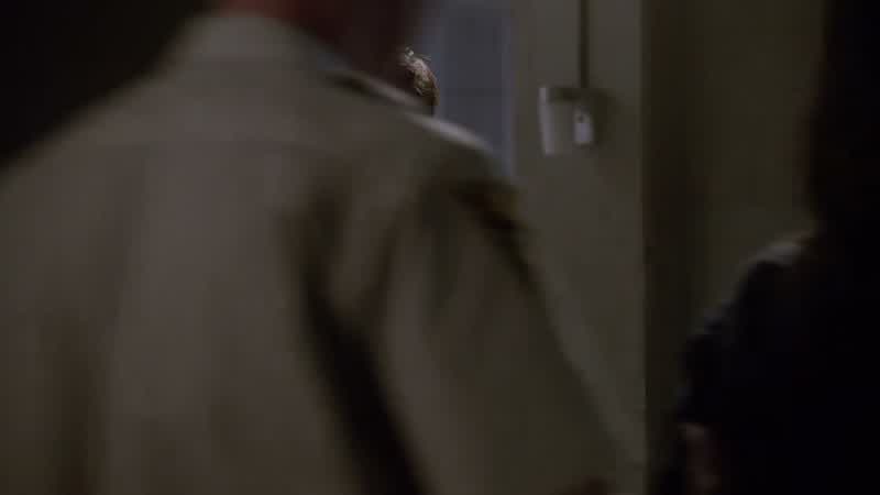 Sheriff, what is that?