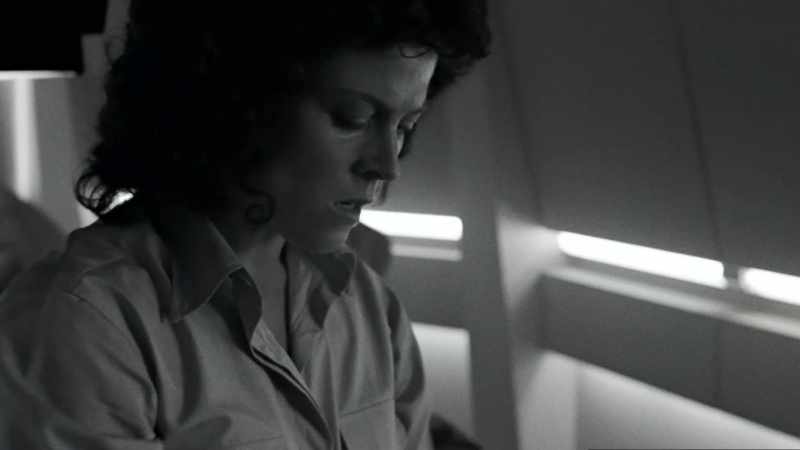 She's a little grizzled. It's cool