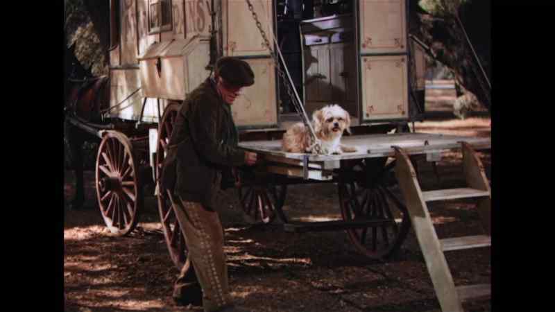 She's a well-trained dog, isn't she, Toots?