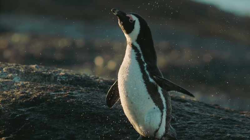 She's beautiful
