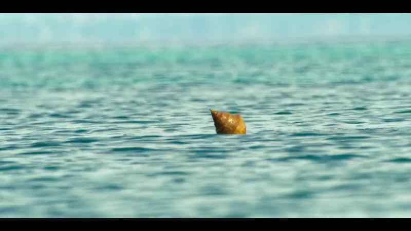 She's figured out that if she holds the shell above the water