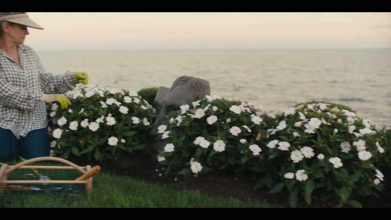 She's got lilies, petunias, geraniums