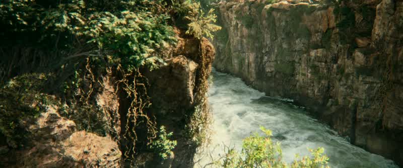 She's in the river