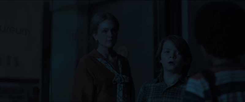 She's the lady from... - Oh, she