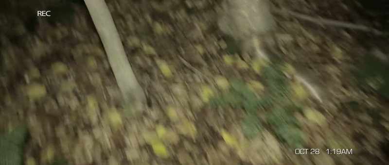 Shit! I think I dropped my phone out there