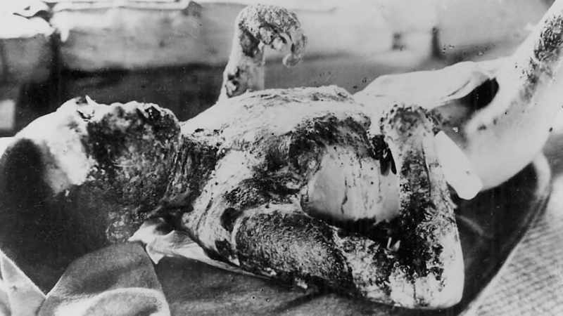 Shock and awe. A massacre determined by an algorithm