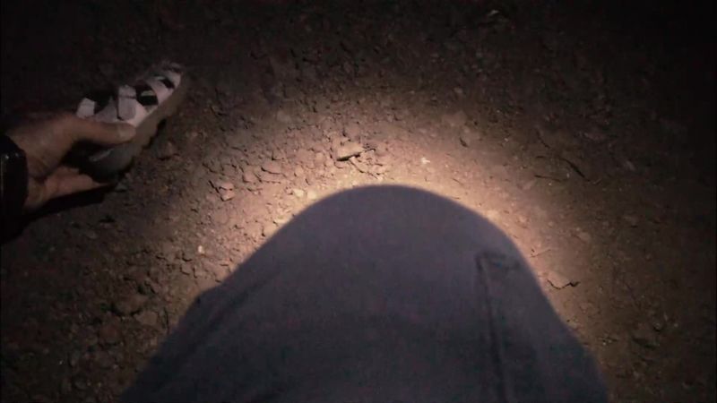 Shoe