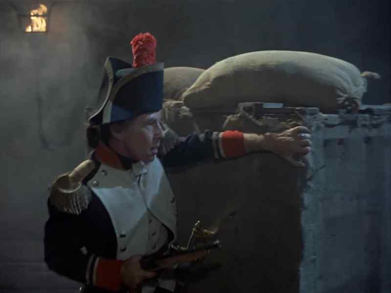 Shoot them.!