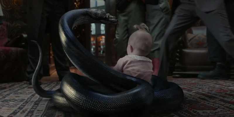 [shrieks] It bit her! It's bitten her! It bited her!