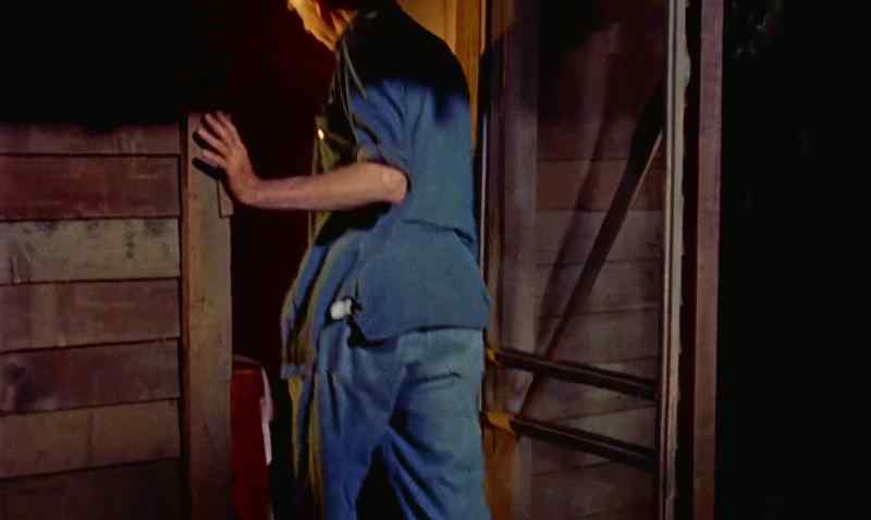 Shut up. Get back inside