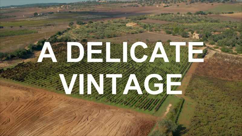 Sicily has a reputation for being a traditional