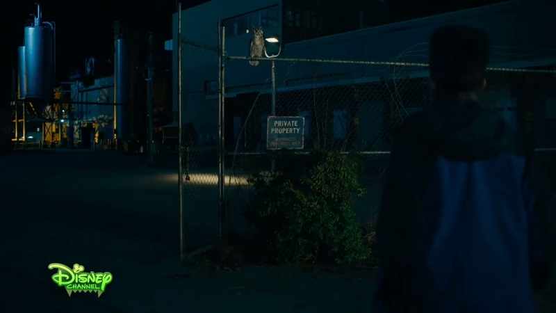 [sighs] -[hoots]