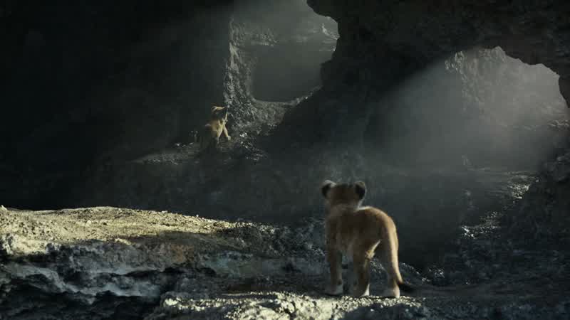 Simba, get down!