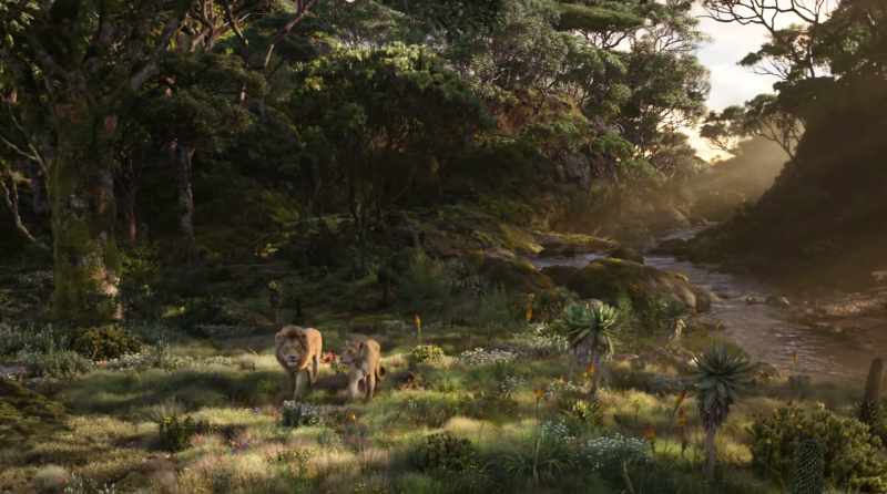 Simba, it's so beautiful