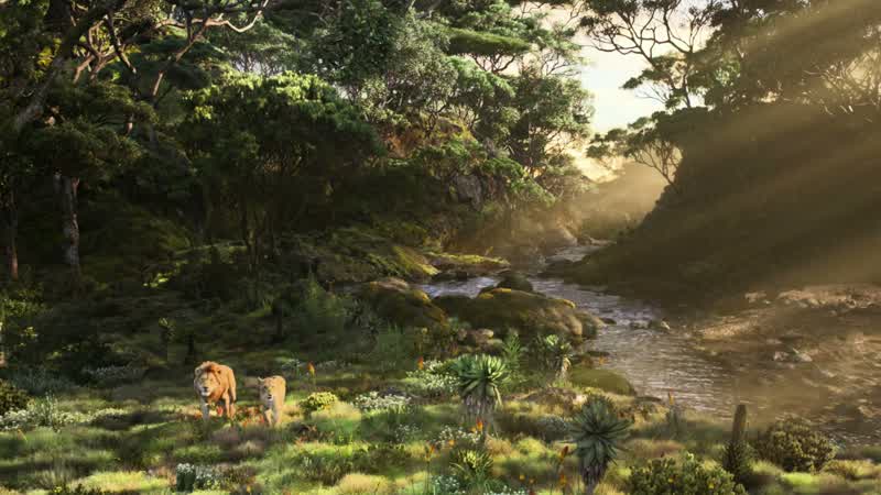 Simba, it's so beautiful