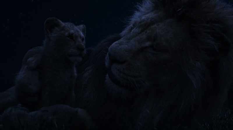 Simba, let me tell you something my father told me