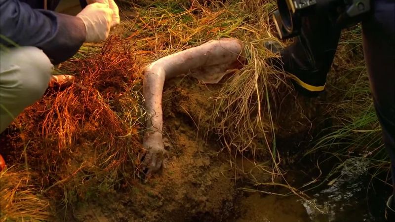 SIMMONS: Minimal blood. Means this arm