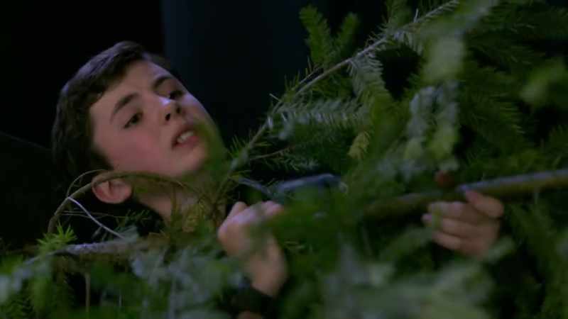 Simon, I don't know how much longer I could hold this tree