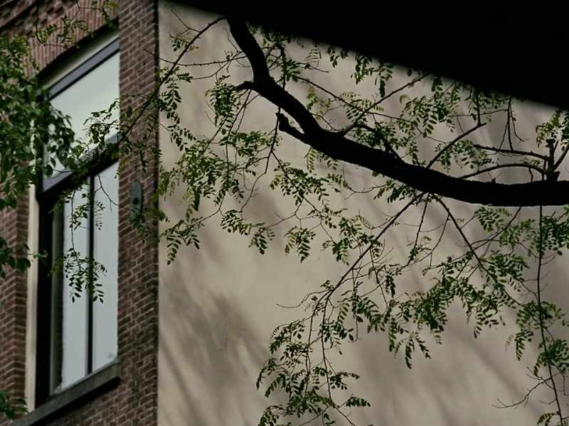 Simons reported that since her former neighbour was divorced