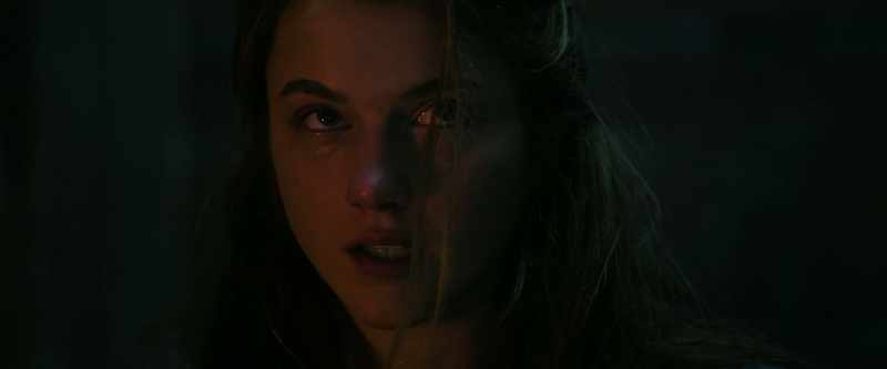 Simulation hypothesis