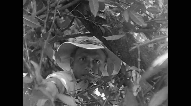 Since I started filming in the 1950s