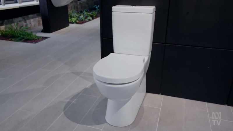 Since its introduction, the dual-flush toilet
