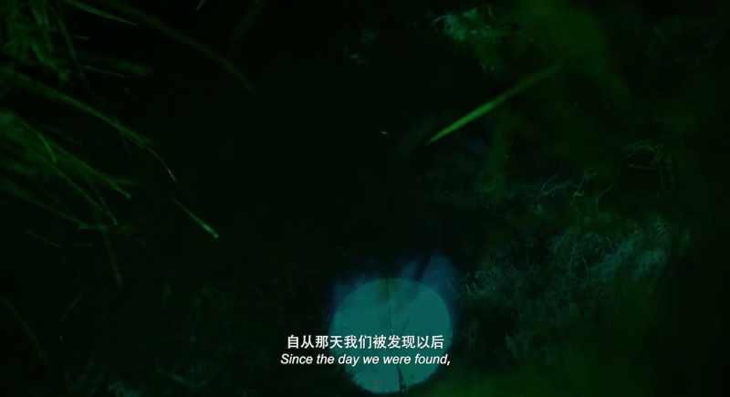 Since the day we were found out