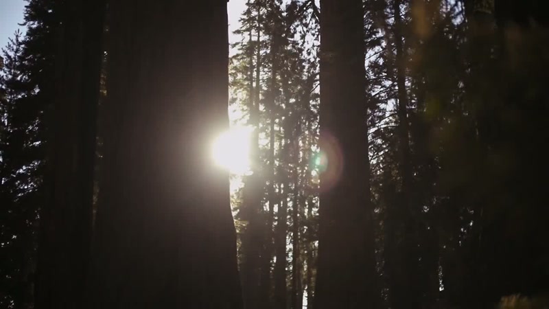 Since the June solstice