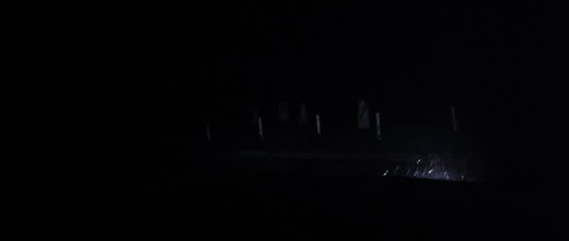Since when did they let them wander around?