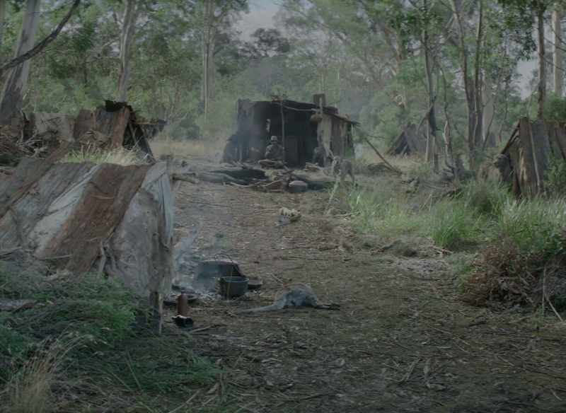 SINE