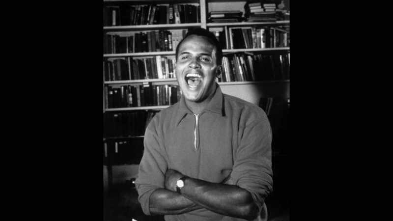 Singer, actor, activist
