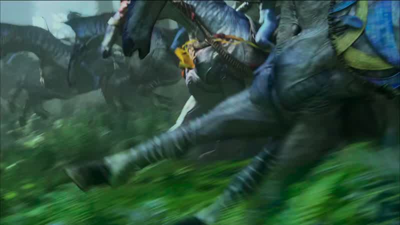 Sir, there is movement on the ground