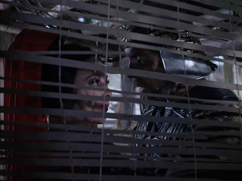 Sir? We searched the streets. We're moving on