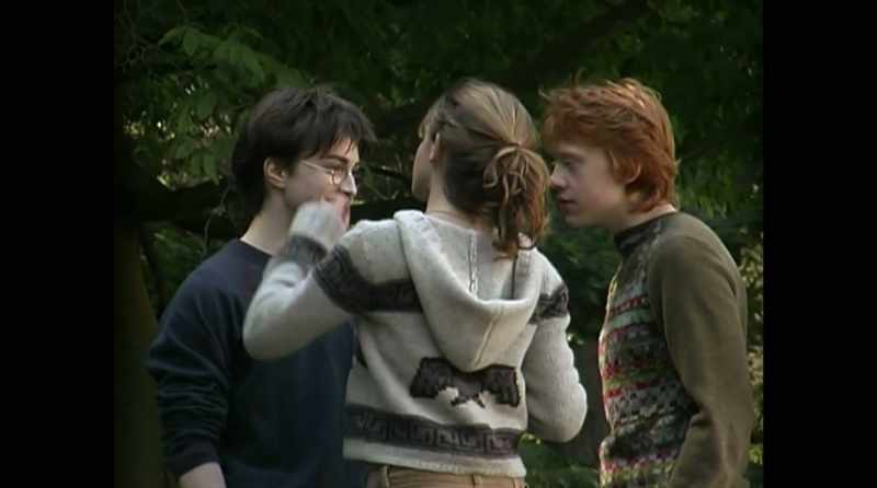 Sirius Black finds a redemption